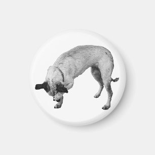Geschenkschutz-Pfoten-Trage Magnet