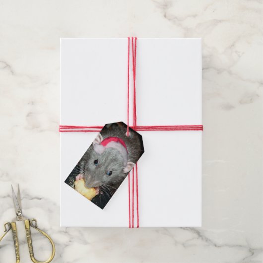 Geschenktafeln von Santa Dumbo Ratte (Packung mit  Geschenkanhänger (Mit Garn)