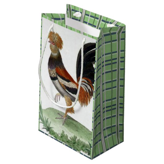 Geschenktasche Französisch Bird Green Kleine Geschenktüte (Rückseite Schrägansicht)