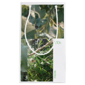 Geschenktasche/Kartonkombo/Metropolis Kleine Geschenktüte (Vorderseite)