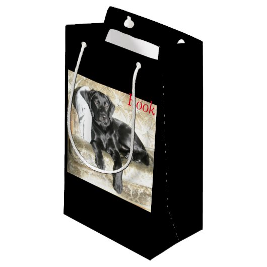 Geschenktasche Labradors Kleine Geschenktüte (Vorderseite Schrägansicht)