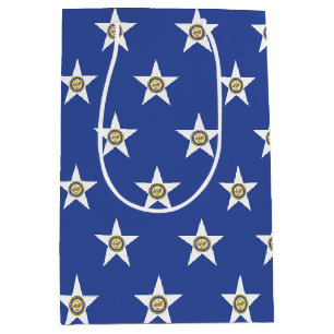 Geschenktasche mit Flagge von Houston, Texas, USA Mittlere Geschenktüte