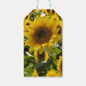 Geschenktaschen Sonnenblumen Geschenkanhänger (Vorderseite)