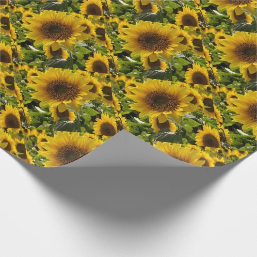 Geschenktaschen Sonnenblumen Geschenkpapier (Ecke)