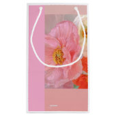 Geschenktüte (Rückseite)