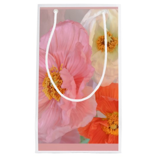 Geschenktüte (Vorderseite)
