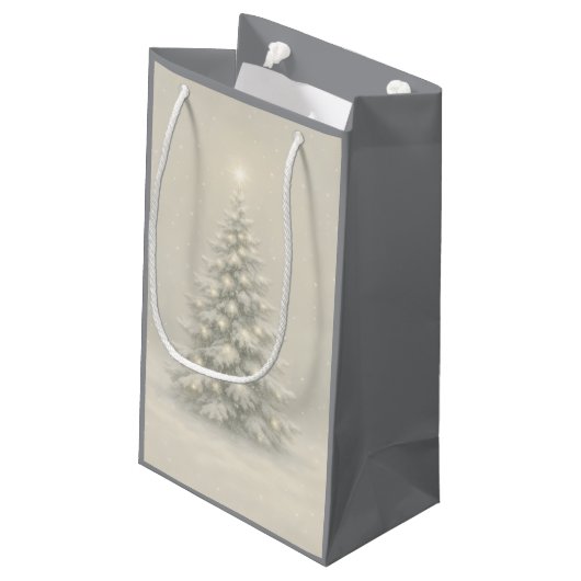 Geschenktüte (Rückseite Schrägansicht)
