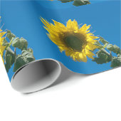 Geschenkwrap - Sonnenblume Geschenkpapier (Rolleneckpunkt)