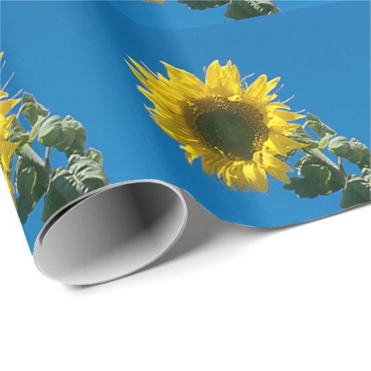 Geschenkwrap - Sonnenblume Geschenkpapier (Rolleneckpunkt)