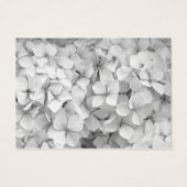 Geschenkzertifikat "White Salon" (Rückseite)