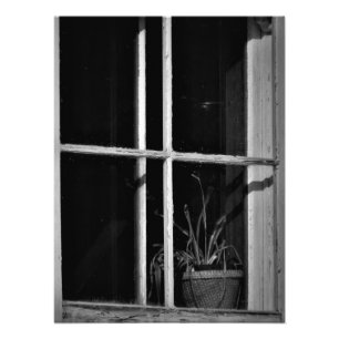 "Geschichte absorbiert" Fotodruck