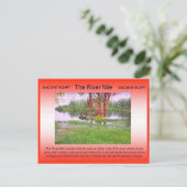 Geschichte, antikes Ägypten, Fluss Nile Postkarte (Stehend Vorderseite)