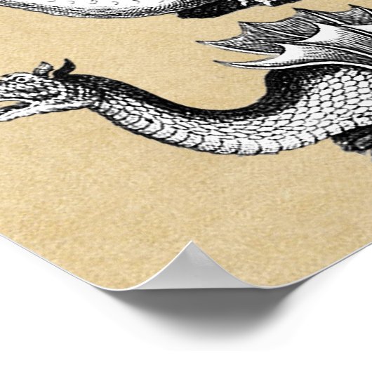 Geschichte der Drachen-Mauerdiagramm Poster (Ecke)