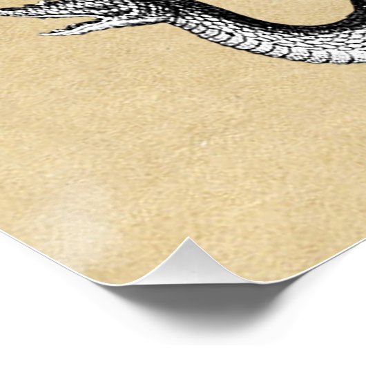 Geschichte der Drachen rustikal Poster (Ecke)