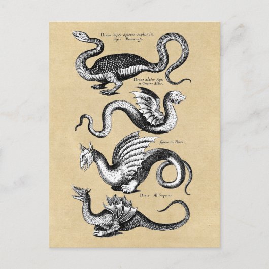 Geschichte der Drachen Sepia Postkarte (Vorderseite)