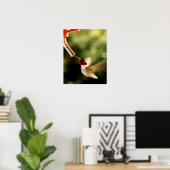 Geschichte des Hummingvogels Poster (Heimbüro)