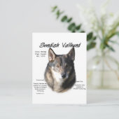 Geschichte des schwedischen Vallhund Postkarte (Stehend Vorderseite)