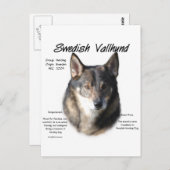 Geschichte des schwedischen Vallhund Postkarte (Vorne/Hinten)