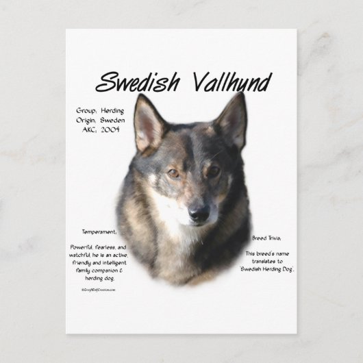 Geschichte des schwedischen Vallhund Postkarte (Vorderseite)