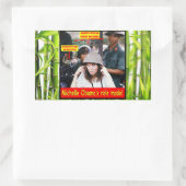 GESCHICHTE FÜR JUNGE AMERIKANER RECHTECKIGER AUFKLEBER (Tasche)