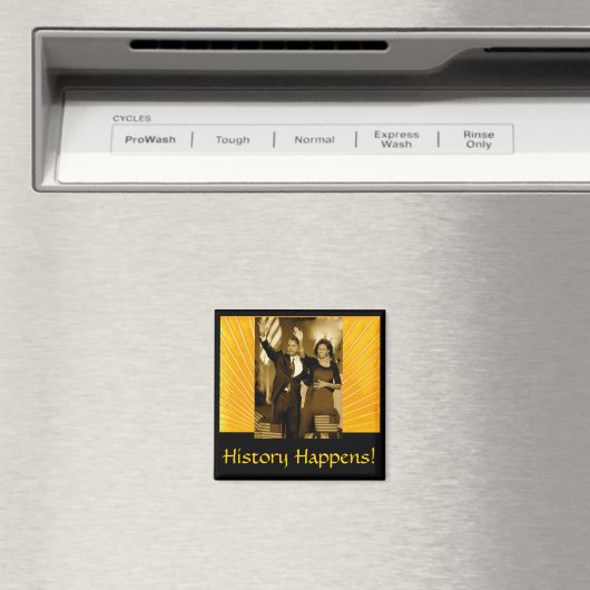 Geschichte passiert magnet (In Situ (Geschirrspüler))