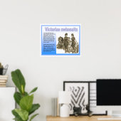 Geschichte, Viktorianer, Swimsuits Poster (Heimbüro)