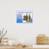 Geschichte, Viktorianer, Swimsuits Poster (Küche)