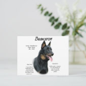 Geschichte von Beauceron; alles über Beauceron Postkarte (Stehend Vorderseite)