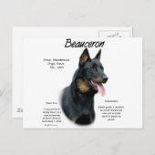 Geschichte von Beauceron; alles über Beauceron Postkarte (Vorne/Hinten)