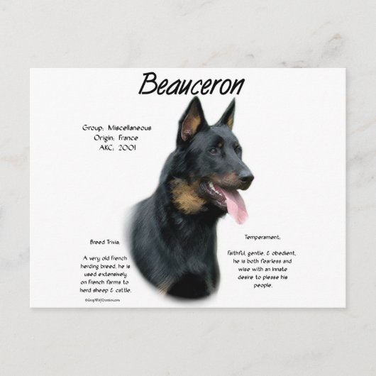 Geschichte von Beauceron; alles über Beauceron Postkarte (Vorderseite)