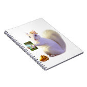 Geschichten von Farlandia Ozettes Schicksal Notizblock (Rechte Seite)