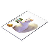 Geschichten von Farlandia Ozettes Schicksal Notizblock (Linke Seite)