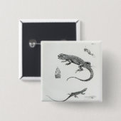 Geschichteter Leguan Button (Vorne & Hinten)