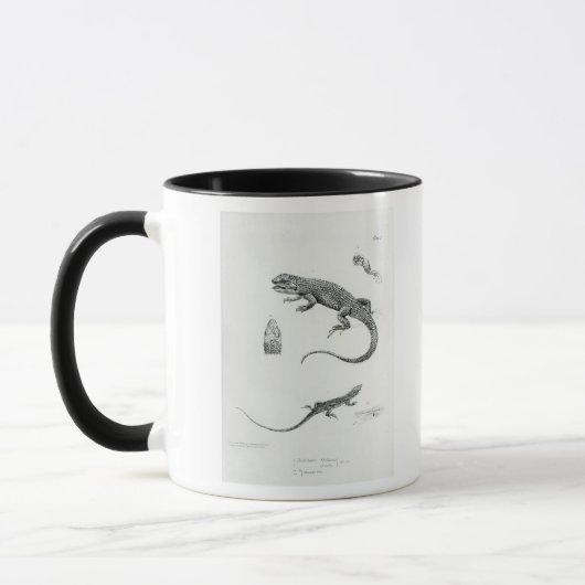 Geschichteter Leguan Tasse (Links)