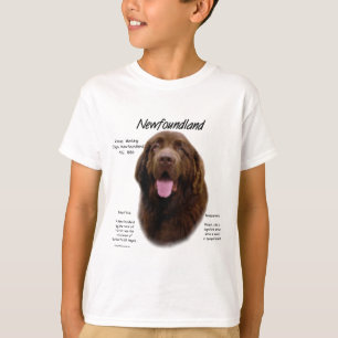 Geschichtsdesign in Neufundland (braun) T-Shirt