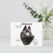 Geschichtsdesign von Schipperke Postkarte (Stehend Vorderseite)