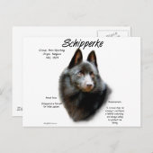 Geschichtsdesign von Schipperke Postkarte (Vorne/Hinten)