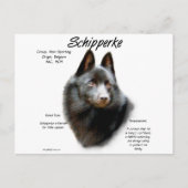 Geschichtsdesign von Schipperke Postkarte (Vorderseite)