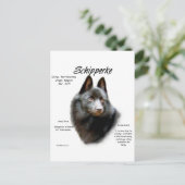 Geschichtsdesign von Schipperke Postkarte (Stehend Vorderseite)