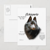 Geschichtsdesign von Schipperke Postkarte (Vorne/Hinten)