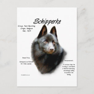 Geschichtsdesign von Schipperke Postkarte