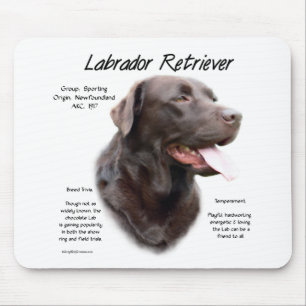 Geschichtsentwurf Labrador retrievers (Schokolade) Mousepad