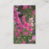 Geschicktes Gedicht an Telefonnummerkarte (Rückseite)