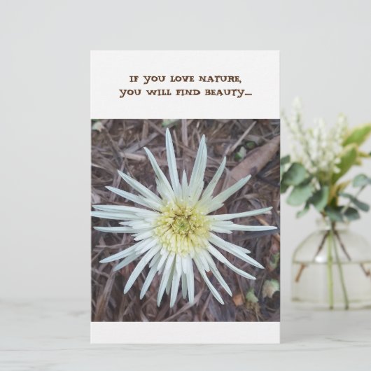 Geschirr Briefpapier (Stehend Vorderseite)