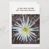 Geschirr Briefpapier (Vorne/Hinten)