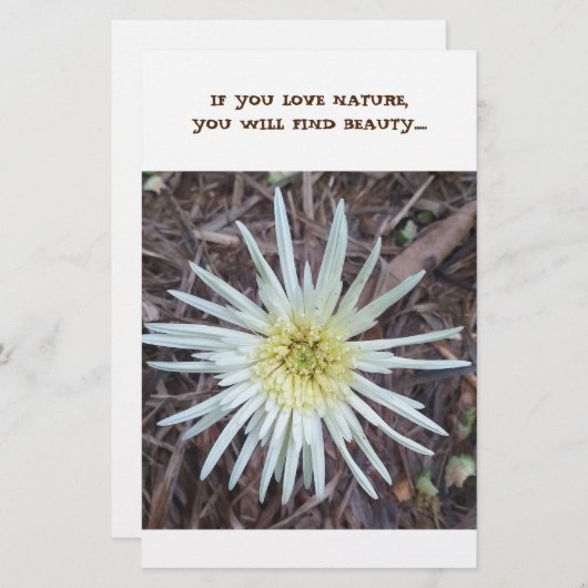 Geschirr Briefpapier (Vorne/Hinten)