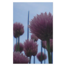 Geschirr - Chives Bild 1