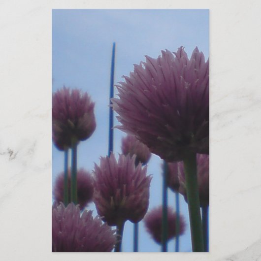 Geschirr - Chives Bild 1 Briefpapier (Vorderseite)