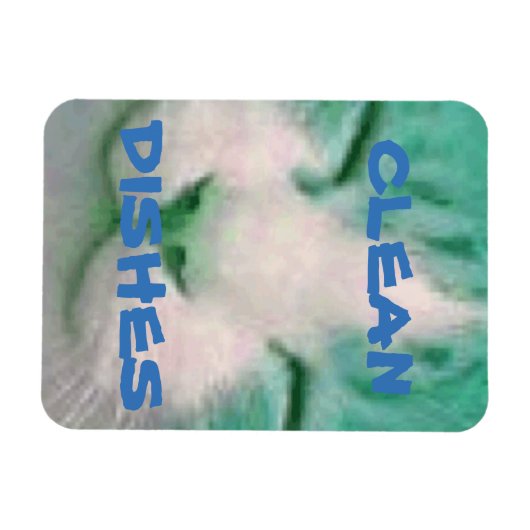 Geschirrspülmaschine Magnet Katzenreinigung (Horizontal)