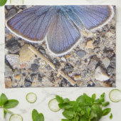 Geschirrtuch blauer Schmetterling (Gefaltet)